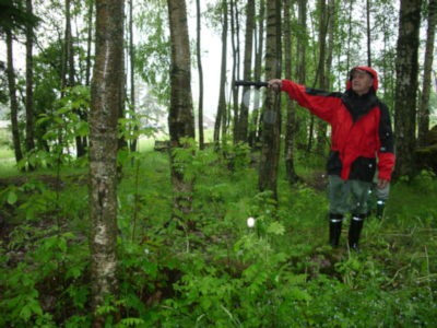 Sakkolan kirkon rauniot, Markku